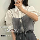 キャミソール 透け感 重ね着 レディース 夏 シースルー トップス チュニック レイヤード ショート丈 無地 オールシーズン 春夏 秋冬 普段着 デイリー ノースリーブ 着回し お出かけ コーデ 韓国風 可愛い カジュアル シンプル オフィス 通勤OL 20代 30代 40代 送料無料