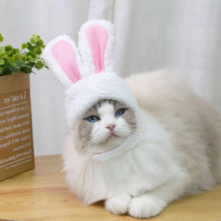 送料無料 ペット帽子 コスチューム ペット用ハット ネコ 猫 犬 イヌ 小型犬 アクセ...