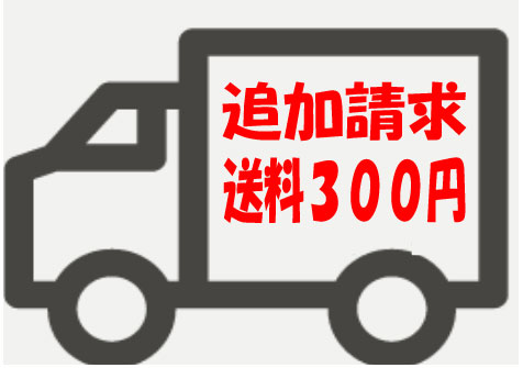 追加請求　送料 300