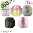 TAMBURINS タンバリンズ パフュームシェルX ハンドクリーム 30ml