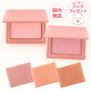 VDL チークステイン ブラッシャー