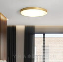 シーリングライト LED おしゃれ 40cm 8畳 北欧 電球色 昼白色 長寿命 明るい 天井照明器具 リビング 寝室 引掛シーリング用 部屋 玄関 ゴールド 工事・工具も不要 安い 電気