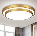 シーリングライト led 天井照明 34cm 5畳 北欧 おしゃれ 電球色 昼白色 ペンダントライト 引掛シーリング 明るい 居間用 子供部屋 工事・工具も不要 安い 省エネ 母の日 父の日