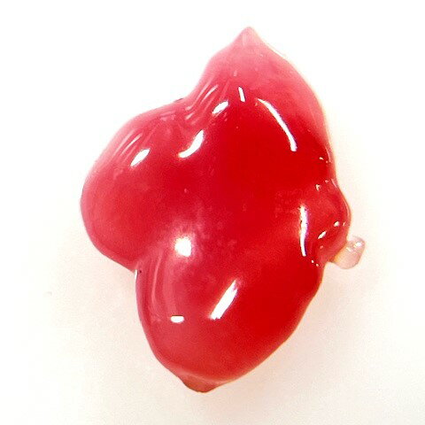 コンクパール　0.59ct　ソーティング付き　ルース