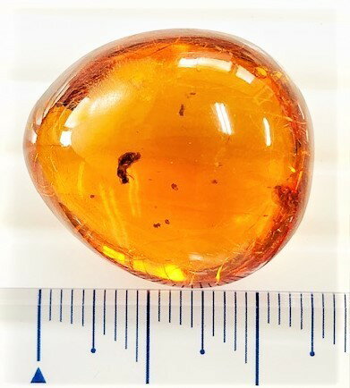 ドミニカ産 虫入りブルーアンバー19.42ct 虫入り琥珀 ルース ドミニカ産 虫入りブルーアンバー19.42ct 虫入り琥珀 ルース
