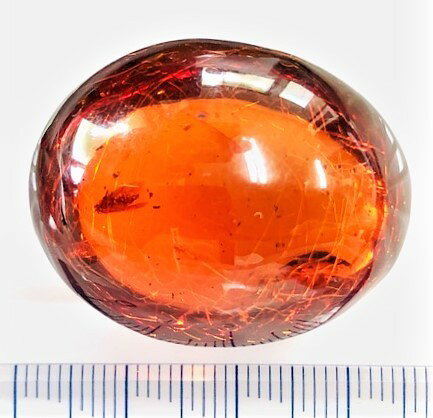 gem-ichinoseのドミニカ産　虫入りブルーアンバー34.98ct　虫入り琥珀　コハク　ルース｜アングル3