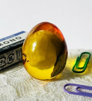 琥珀　卵型　54.61ct　ルース