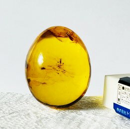 琥珀　卵型　44.48ct　ルース