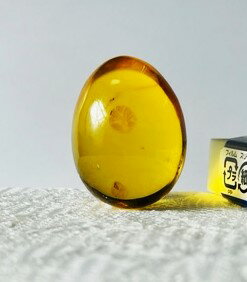琥珀　卵型　38.18ct　ルース