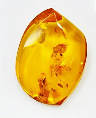 琥珀　フリーシェイプ　136.63ct　ルース