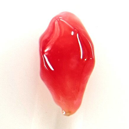 コンクパール0.26ctソーティン...