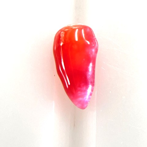 コンクパール 0.23ct ソーティング付きルース conch pearl