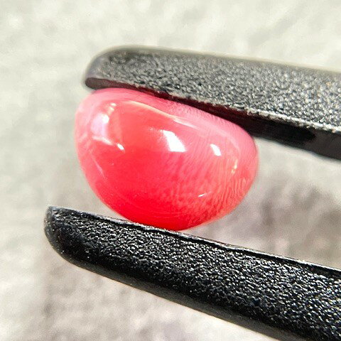 コンクパール　1.43ct　ソーティング付きルース（商談中）