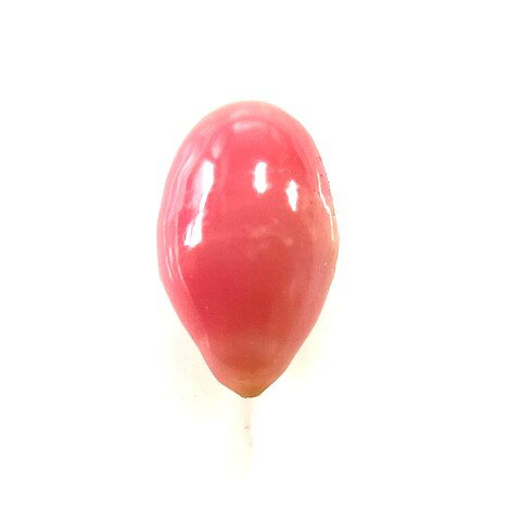 乐天商城 - コンクパール　0.66ct　ルース