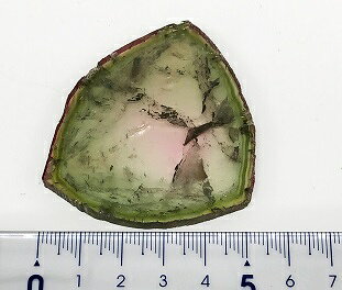 gem-ichinoseのトルマリン　大きなスライス151.15ct 　ルース｜アングル3