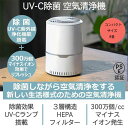 空気清浄機 おすすめ 花粉対策 小型 8畳 UV-C紫外線ランプ搭載 マイナスイオン空気清浄機 コンパクト ウイルス除菌 ハウスダスト ウイルス フィルター 消臭