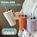 在庫処分セール中!おしゃれ!ステンレス タンブラー 600ML 水筒 ストロー付き 600ml 蓋付き 大容量 真空断熱 保温 保冷 持ち運び マグボトル 直飲...