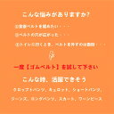 【2個セット】ゴムベルト レディース ベルト ゴム メンズ バックルなし すっきり 楽ちん 簡単 ベルト サイズ調整可 ストレッチ 楽々 ループゴムベルト かわいい 30mm幅 送料無料 2