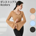 ダンス 練習着 レッスン着 シアー バレエ トップス クラーデション 社交ダンス 衣装 ジャズ レッスンウェア 社交ダンス 団体お揃い ダンス用品 ダンス服 女...