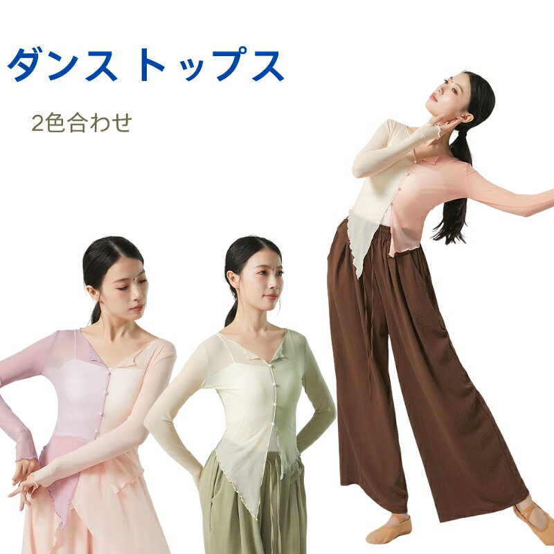 樂天商城 - ダンス衣装 レディース ジャズダンス 衣装 2色合わせ メッシュ ダンスウェア ベリーダンス 衣装 社交ダンス トップス ダンス tシャツ バレエ ダンス トップス 社交ダンス 練習着 フラダンス 衣装 バレエ ヨガ ダンスウェア 動きやすい 海外通販