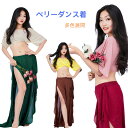 ベリーダンスレッスン着 フリル ラメ入り ベリーダンスセット衣装 2点セットアップ レディース ベリーダンス 練習着 インド 民族 衣装 女性コスチューム スカ...
