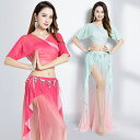 ベリーダンスレッスン着 クラーデション メッシュ ベリーダンスセット衣装 2点セットアップ レディース ベリーダンス 練習着 インド 民族 衣装 女性コスチュー...