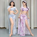 ベリーダンスレッスン着 花柄 メッシュ半袖 ベリーダンスセット衣装 2点セットアップ レディース ベリーダンス 練習着 インド 民族 衣装 女性コスチューム ロ...