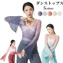 【20%割引】ダンストップス 練習着 トップス ベルスリーブ 長袖 古典舞踊 薄手 メッシュ 交叉 vネック バレエ練習着 コンテンポラリー 衣装 ダンスTシャツ ダンスウェア レッスン着 ダンス練習着 レディース 団体服 透け感 ダンサー ジャズ ヨガ ダンス 海外通販