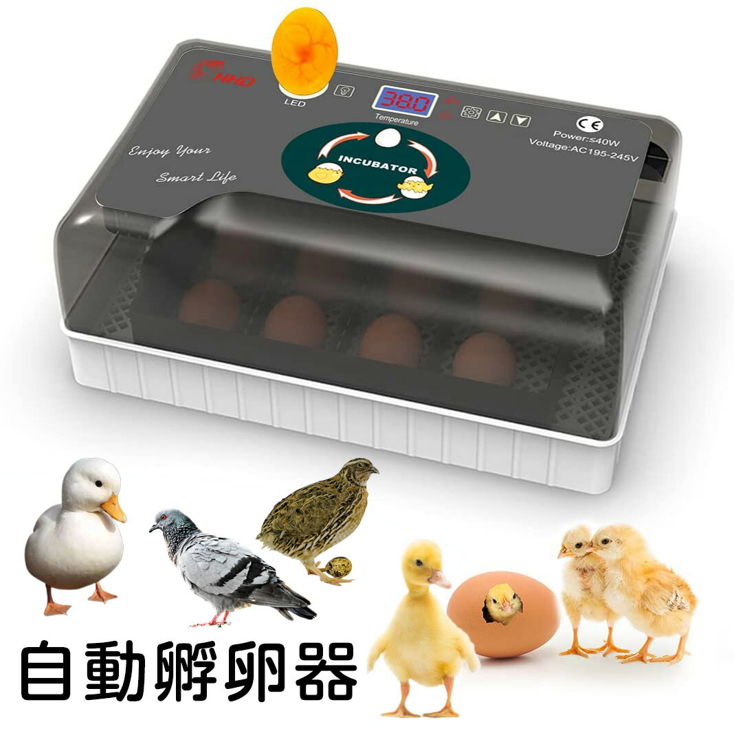 楽天市場】YHggocp 自動インキュベーター 大容量 自動孵卵器 楽天市場】YHggocp 自動インキュベーター 大容量 自動孵卵器