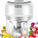 YiMiDO みじん切り器 電動 チョッパー 野菜カッター みじん切りカッター ワンタッチで起動 USB充電 250ml+100ml