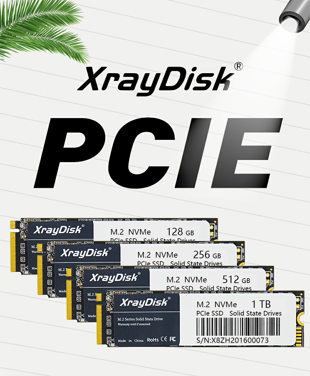 XrayDisk M.2 SSD PCIe NVME 512GB 1TB Gen3*4 ソリッドステートドライブ 2280 内蔵ハードディスク HDD ラップトップデスクトップ用