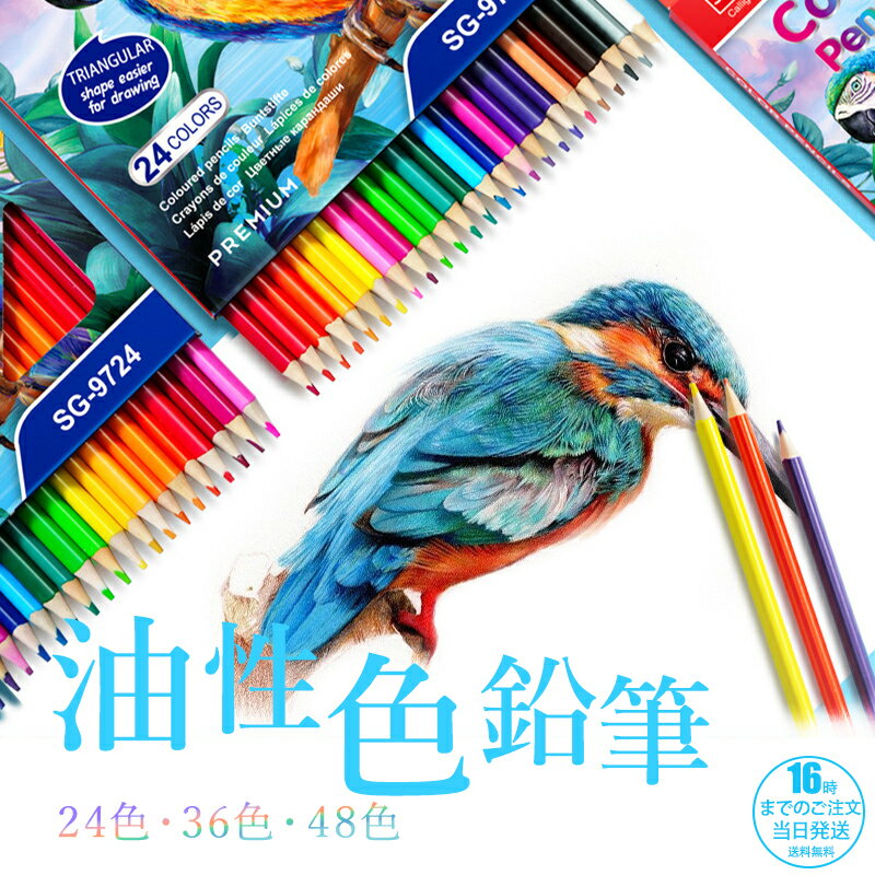 【在庫有り！即日出荷可】色鉛筆 24色 36色 48色 セット 油性色鉛筆 スケッチ 画材 大人 子供 こども 夏休み 鉛筆 筆記具 文房具 お絵かき 塗り絵 ぬり絵 単色 色えんぴつ 文具