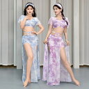 ベリーダンス 衣装セット 大人 フリンジ 半袖 ベリーダンス 衣装 ショート丈 トップス サイドスリット ロング丈 スカート セクシー 美シルエット Berry...