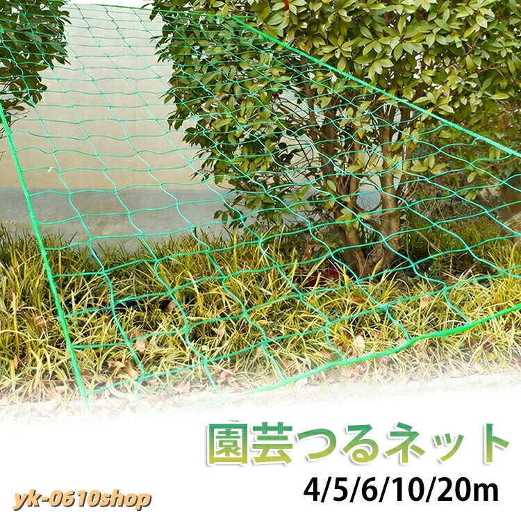 38w40200022_1.jpg