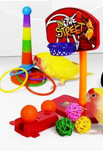 ペット用品 おすすめ 小動物 おしゃれ かわいい 鳥 インコ オウム 文鳥 ヨウム おもちゃ バランス 知育 訓練 トレーニング バスケット ボール ゴール 投げ輪 貯金箱 ゴミ箱 いち 車輪 セット カラフル