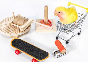 ペット用品 おすすめ 小動物 おしゃれ かわいい 鳥 インコ オウム 文鳥 ヨウム おもちゃ トレーニング 投げ輪 リング 知育 スケボー スケートボード カート ローラースケート シンプル 噛む