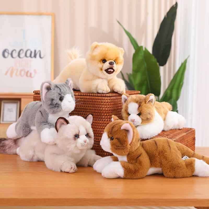 Dog - クッション 枕 ふわふわ 男の子 女の子 インテリア おもちゃ ぬいぐるみ 人形 かわいい ベビー 赤ちゃん 子供 プレゼント おすすめ 誕生日 ギフト クリスマス 贈り物 出産祝い ポメラニアン 猫 犬 ペット ラグドール リアル 動物 アニマル