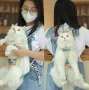 散歩 犬 ペット 抱っこ 紐 バッグ かわいい おしゃれ キャリー おんぶ メッシュ 通気性 猫 リード セット