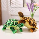 クッション 枕 ふわふわ 男の子 女の子 インテリア おもちゃ ぬいぐるみ 人形 かわいい ベビー 赤ちゃん 子供 プレゼント おすすめ 誕生日 ギフト クリスマス 贈り物 出産祝い 亀 ウミガメ 海洋生物 甲殻類 水族館