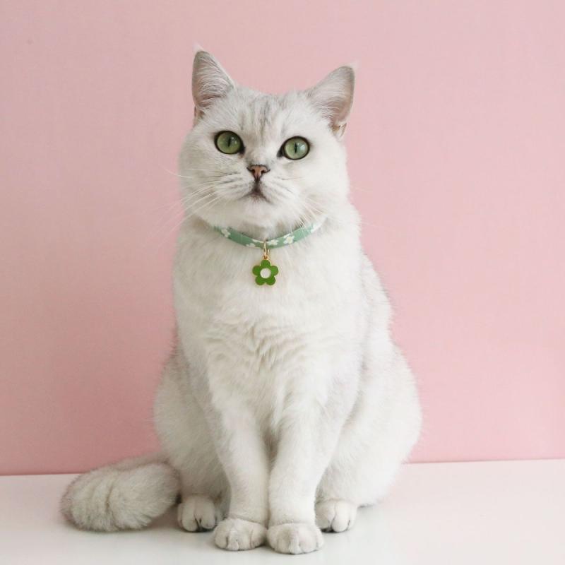 おすすめ 犬 猫 ペット グッズ かわいい おしゃれ 首輪 装飾 フラワー 調節可能 バックル 花 チャーム ..