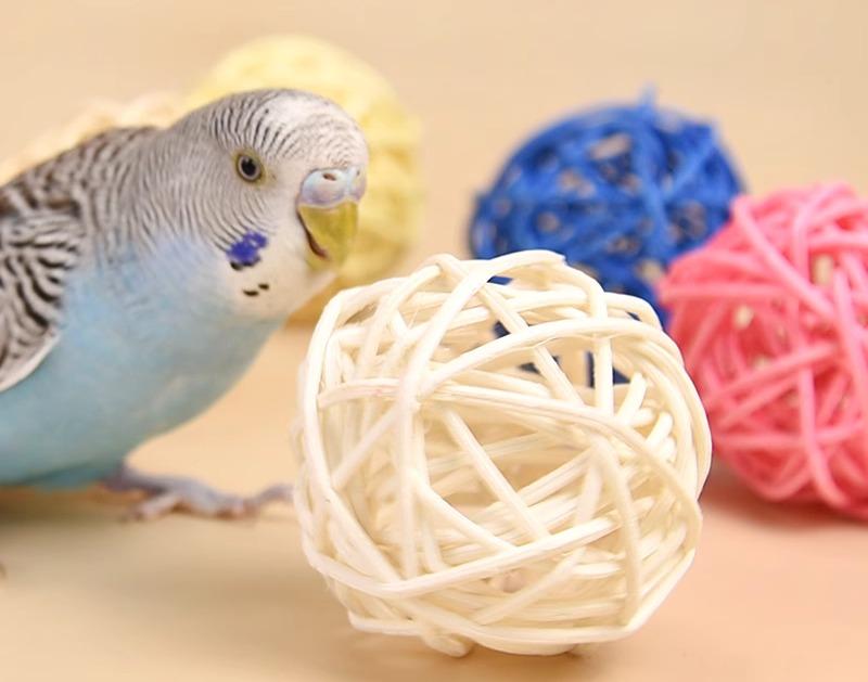 ペット用品 おすすめ 小動物 おしゃれ かわいい 鳥 インコ オウム 文鳥 ヨウム おもちゃ ボール トレーニング 噛む シンプル セット カラフル 知育