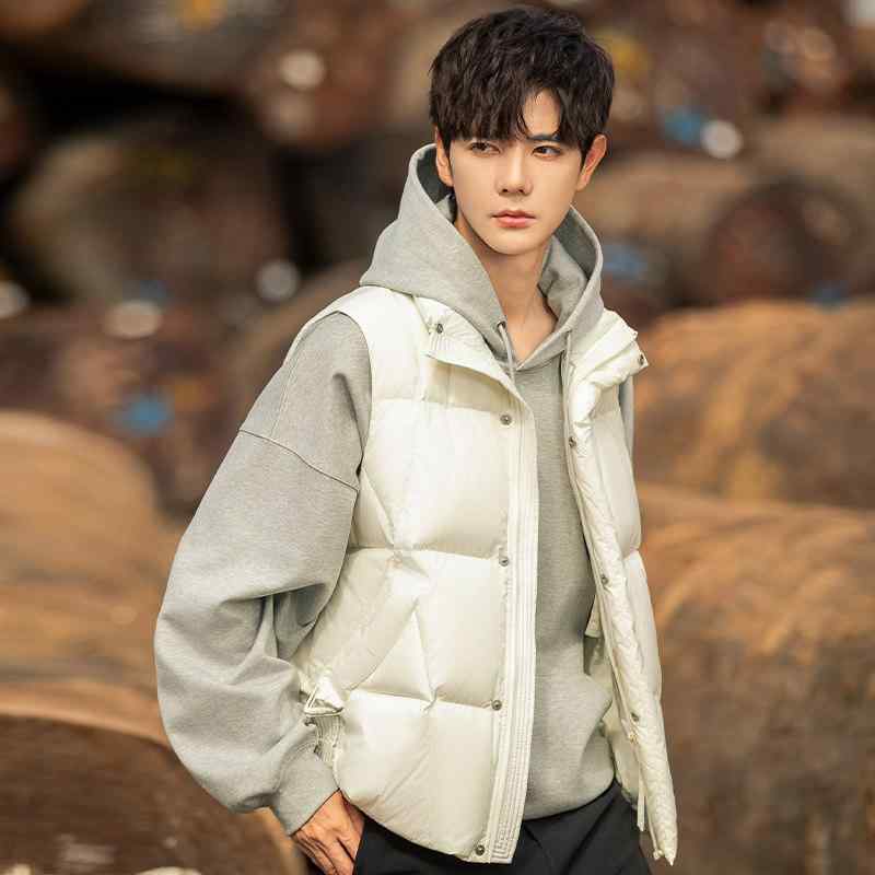 Other - メンズ ファッション 春夏 秋冬 かっこいい オシャレ モテ 男性用 紳士服 服 韓国 シンプル 大人 ダウン ベスト 高級 アウター 軽量 服