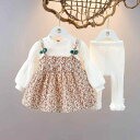 キッズ ファッション 女の子 かわいい おしゃれ 韓国 子供服 プリンセス 発表会 結婚式 高級 秋 赤ちゃん 花柄 セット 長袖 ベビー ワンピース ドレス ...