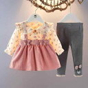 キッズ ファッション 女の子 かわいい おしゃれ 韓国 子供服 プリンセス 発表会 結婚式 高級 ドレス セット ベビー 赤ちゃん 春秋 花柄 スカート ワンピ...