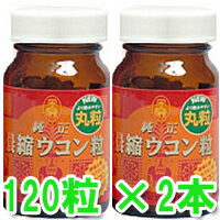 ウコン　うこん　送料無料　実 肝 