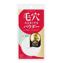 ポイントマジック PRO プレストパウダー C 10 ナチュラルオークル (標準的な肌色の方対応) ファンデーション 6グラム (x 1)