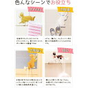 フック 強力マグネット 猫雑貨 冷蔵庫用 玄関 鍵掛け ドア キッチン収納 かわいい 白猫 黒猫 グッズ 雑貨(x10)|詳細画像