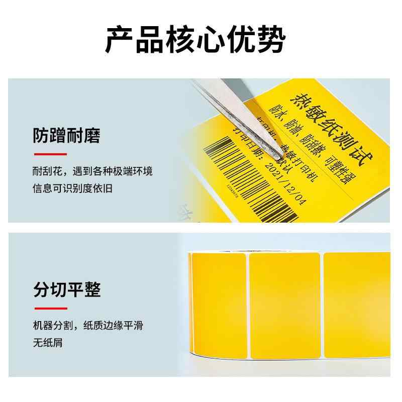 ラベル シール 各種カラー 耐水 耐熱 感熱紙 60x40mm 赤 黄 青 緑 紫 ピンク オレンジ 他 サイズ豊富