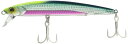 JACKALL(ジャッカル) ビッグバッカー アンチョピード 120SL 明滅ハラピン 120mm / 35g