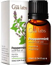 Gya Labs ペパーミント エッセンシャルオイル 10 ml - 100% 天然ハッカ油が - ディフューザー、スキン、ヘア用ペパーミント精油(4)